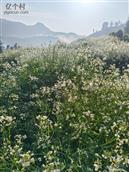 云南省,曲靖市,富源县,富村镇,砂厂村