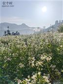 云南省,曲靖市,富源县,富村镇,砂厂村