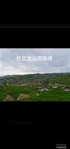 黑大庄村 