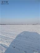 河南省,驻马店市,上蔡县,塔桥镇,黑翟村