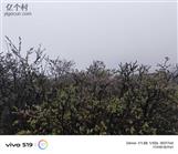 四川省,凉山州,木里县,依吉乡,蚕多村