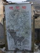 山东省,潍坊市,安丘市,柘山镇,槐抱榆村