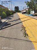 山东省,潍坊市,寿光市,田柳镇,瓦子桥村