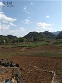 湖南省,湘西州,龙山县,洗洛乡,坪中村