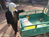 山东省,潍坊市,寿光市,田柳镇,瓦子桥村