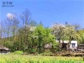 湖南省,湘西州,龙山县,洗洛乡,坪中村