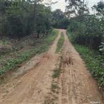 广西,防城港市,防城区,那良镇,北仑村