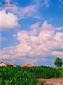 黑龙江省,齐齐哈尔市,讷河市,孔国乡,孔国村