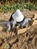 山西省,忻州市,忻府区,董村镇,游邀村