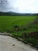 广西,南宁市,马山县,周鹿镇,石塘村