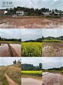 湖南省,湘西州,泸溪县,达岚镇,麻坪村