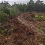 广西,防城港市,防城区,那良镇,北仑村