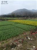 广西,桂林市,全州县,枧塘乡,昌郑村