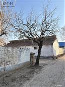 山东省,德州市,陵城区,神头镇,老李村