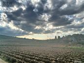 湖南省,郴州市,桂阳县,流峰镇,枫溪村