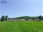 吉林省,延边州,龙井市,老头沟镇,烽火社区