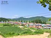 吉林省,延边州,龙井市,老头沟镇,烽火社区