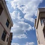 广东省,河源市,龙川县,细坳镇,张田村