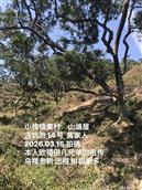 广东省,广州市,增城区,小楼镇,黄村