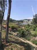 广东省,广州市,增城区,小楼镇,黄村