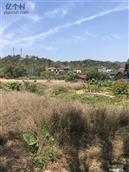 广东省,广州市,增城区,小楼镇,黄村