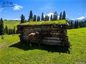 云南省,昭通市,鲁甸县,文屏镇,安阁村