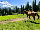 云南省,昭通市,鲁甸县,文屏镇,安阁村