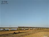 广东省,阳江市,江城区,埠场镇,那蓬村