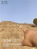 山东省,临沂市,蒙阴县,岱崮镇,东峪村