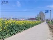 河南省,驻马店市,汝南县,韩庄镇,西肖屯村