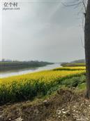 河南省,驻马店市,新蔡县,练村镇,桂湾村