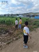 内蒙古,乌兰察布市,凉城县,蛮汉镇,太平寨村