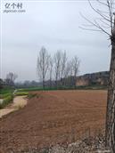 河南省,郑州市,登封市,告成镇,范店村