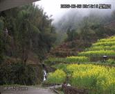 浙江省,金华市,武义县,柳城镇,界村