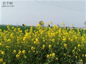 河南省,郑州市,荥阳市,高村乡,马沟村