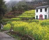 浙江省,金华市,武义县,柳城镇,界村