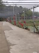 广东省,梅州市,兴宁市,径南镇,宝兴村