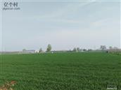 河南省,郑州市,荥阳市,高村乡,马沟村