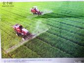 江苏省,南通市,通州区,十总镇,志新村