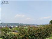 四川省,眉山市,丹棱县,顺龙乡,幸福村