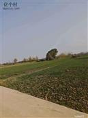 河南省,南阳市,镇平县,贾宋镇,闵河村