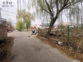 山东省,烟台市,莱州市,平里店镇,柳行村