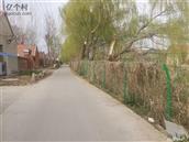 山东省,烟台市,莱州市,平里店镇,柳行村