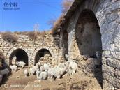 山西省,忻州市,偏关县,窑头乡,何家沟村