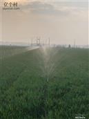 河北省,邯郸市,永年区,讲武乡,石北汪村