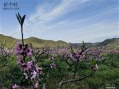 浙江省,舟山市,普陀区,六横镇,双塘中心村