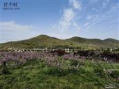 浙江省,舟山市,普陀区,六横镇,双塘中心村