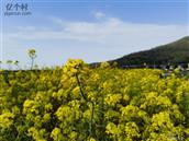 浙江省,舟山市,普陀区,六横镇,双塘中心村