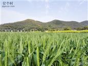 浙江省,舟山市,普陀区,六横镇,双塘中心村