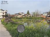 湖北省,天门市,杨林街道,八市村